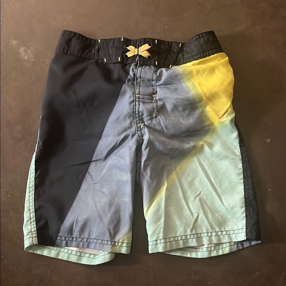Multicolor Swim Shorts